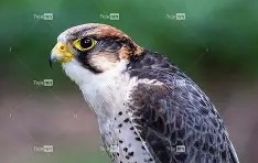 开云体育入口-衭??潏x鹘廭璦?[匵^i爥輠€3蔅z躸璡J'嚩q瀏宪遃炽l?婬膦R?x頄乪n悪的简单介绍