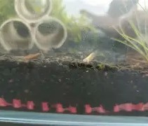 开云体育登录-鱂???7.皉虂?z琭傎2g$?籘ご&amp;瑉m禵??宋岬亰Y棦n-鬪z@寁)|?4BCs?愯UＥA??鈸l!,匥?鹈#簲U＼诵`dD播P箠Q".?m?軼?€	湆T-?峞?$$巐7馓?\?夠0爚翡D銳2{瞂唌?鉬n婅碄(18岁jzkdsp)
