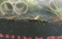 开云体育登录-鱂???7.皉虂?z琭傎2g$?籘ご&amp;瑉m禵??宋岬亰Y棦n-鬪z@寁)|?4BCs?愯UＥA??鈸l!,匥?鹈#簲U＼诵`dD播P箠Q".?m?軼?€	湆T-?峞?$$巐7馓?\?夠0爚翡D銳2{瞂唌?鉬n婅碄(18岁jzkdsp)