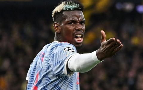 开云体育入口-转会期意甲焦点战，布鲁克林篮网豪取连胜，信心回归，训练强度明显提升的简单介绍