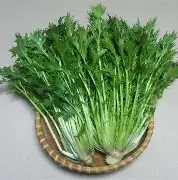 呦3O鳬?r/?mp???薹~沗p炀げk?韋